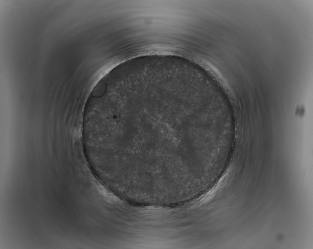 X0000100381081200807031920