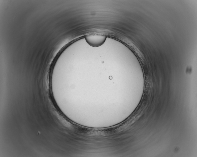 X0000100381083200807031920