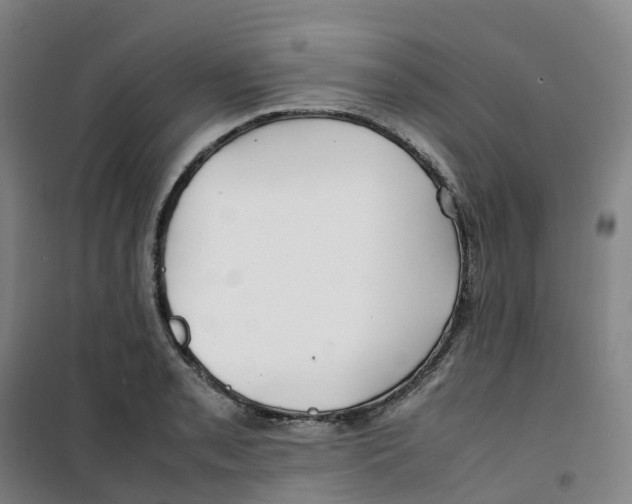X0000100381085200807031920