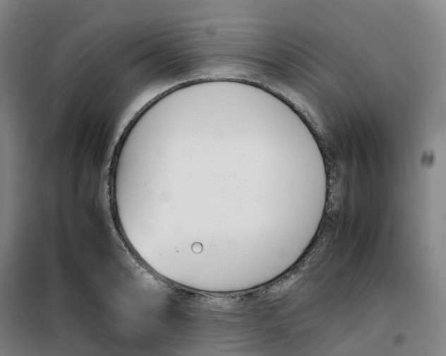 X0000100381086200807031919