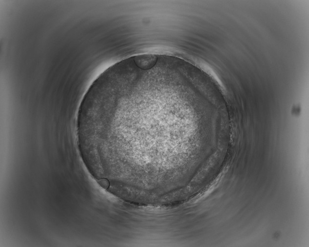 X0000100381087200807031919