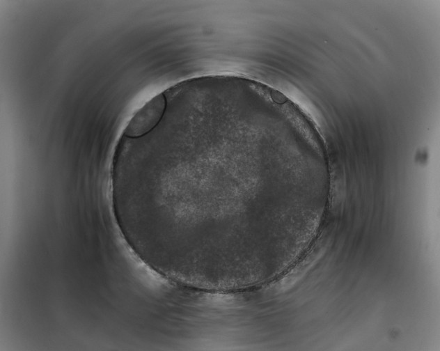 X0000100381088200807031919