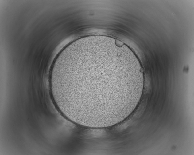 X0000100381090200807031919