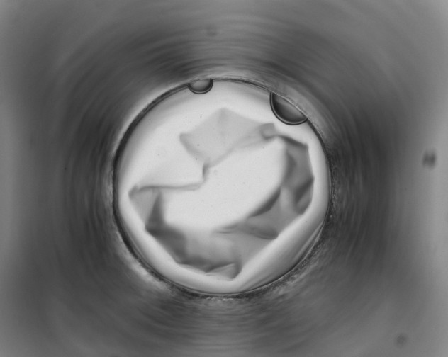 X0000100381092200807031919