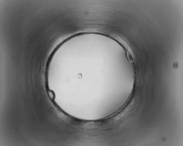 X0000100381093200807031919