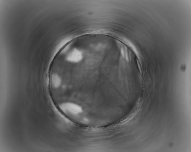 X0000100381095200807031919