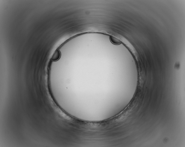 X0000100381096200807031919