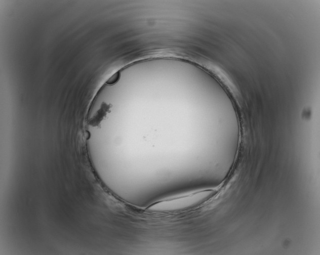 X0000100381097200807031919