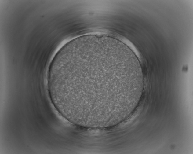 X0000100381099200807031919