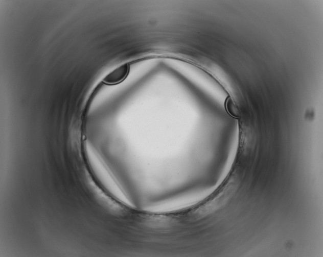 X0000100381100200807031919