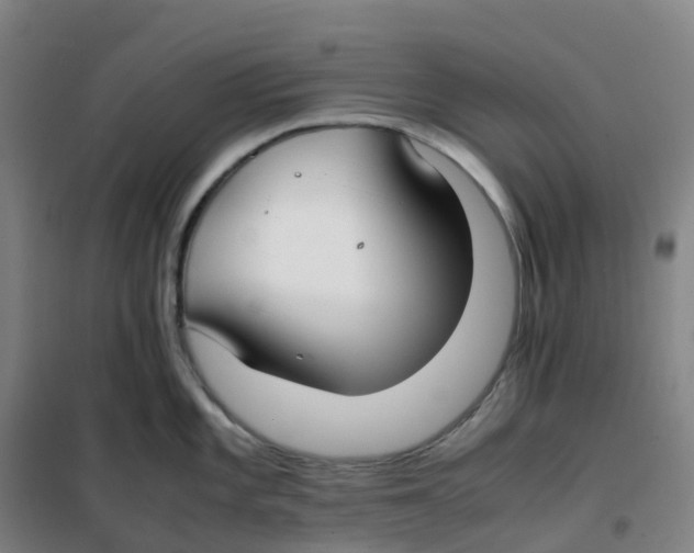 X0000100381101200807031919