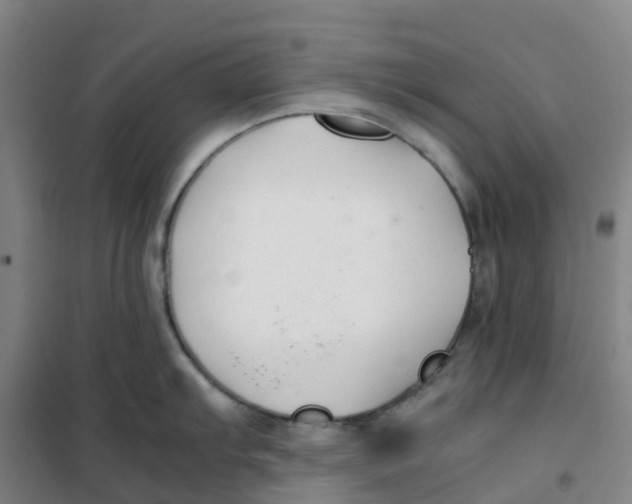 X0000100381103200807031919
