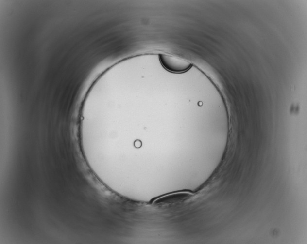 X0000100381104200807031919