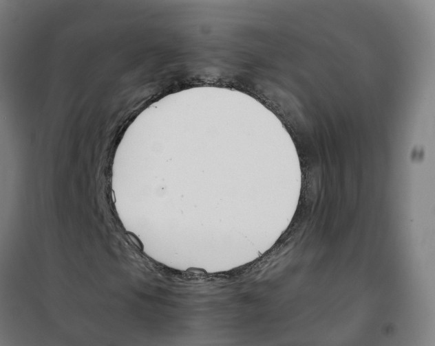X0000100381105200807031918