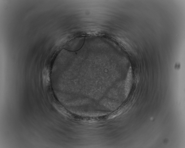 X0000100381106200807031918