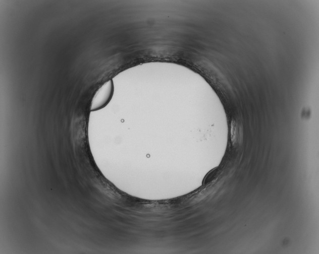 X0000100381107200807031918