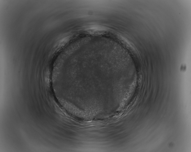 X0000100381108200807031918