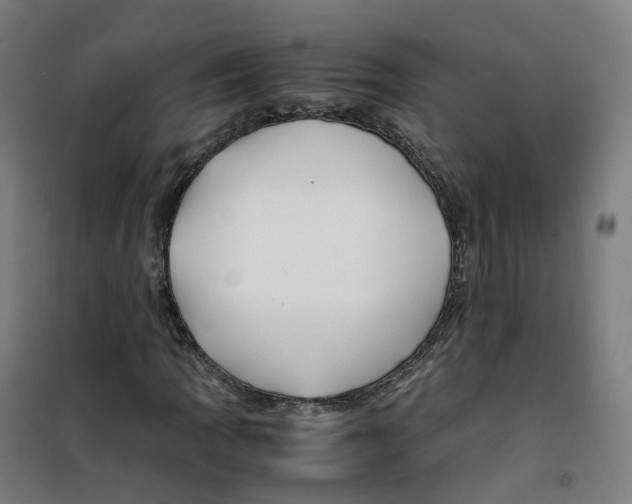 X0000100381109200807031918