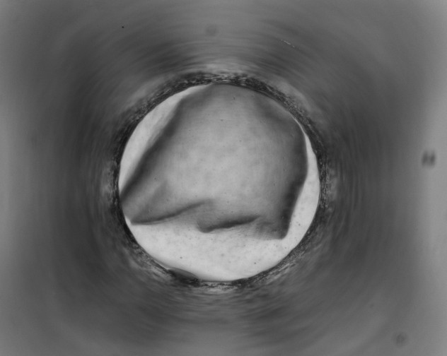 X0000100381110200807031918