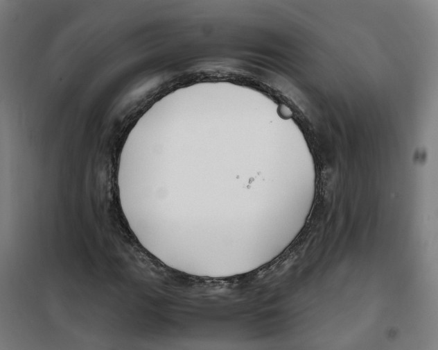 X0000100381111200807031918