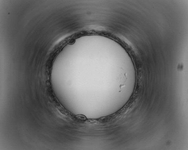 X0000100381112200807031918