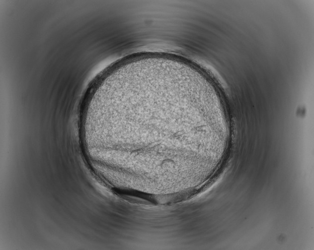 X0000100381114200807031918