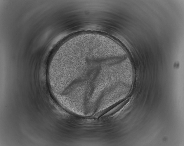 X0000100381115200807031919