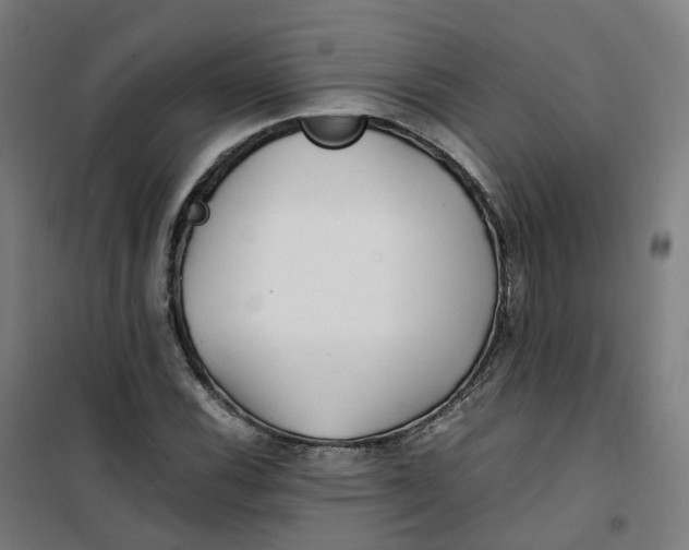 X0000100381116200807031919