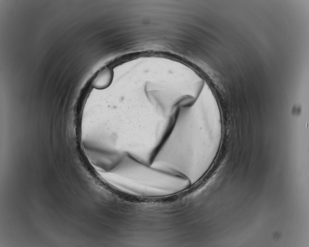 X0000100381118200807031919