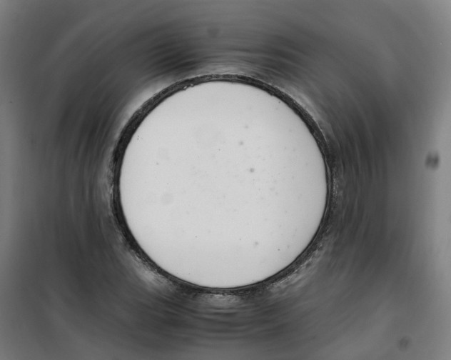 X0000100381119200807031919