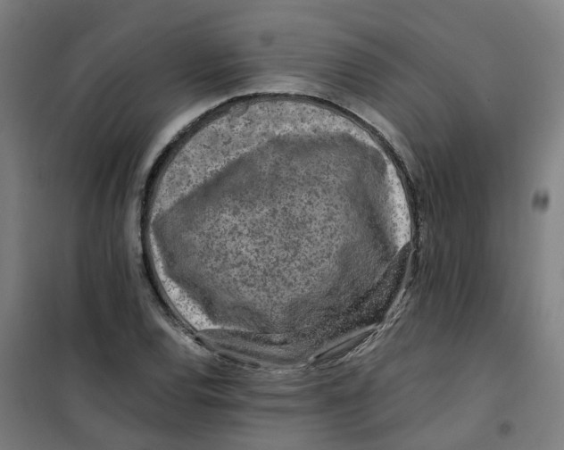 X0000100381120200807031919