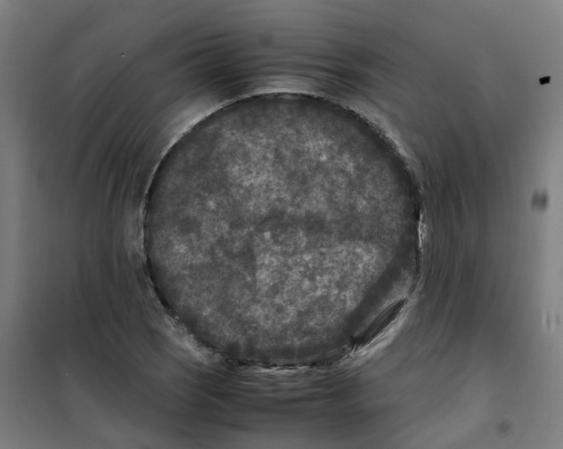 X0000100381121200807031919