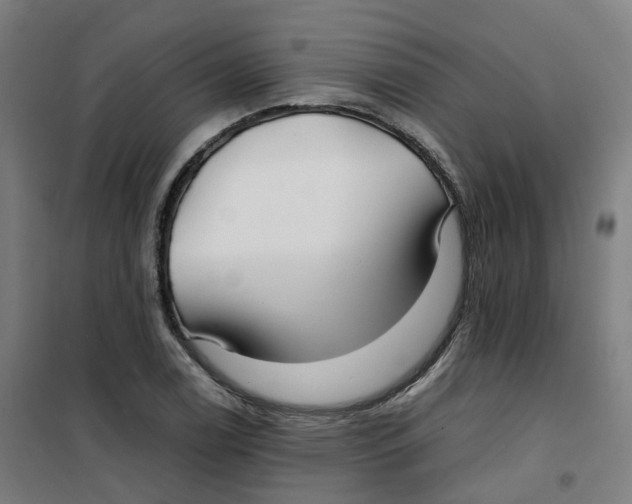 X0000100381122200807031919