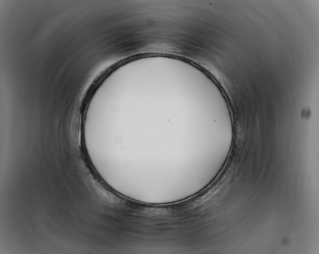 X0000100381123200807031919