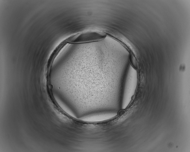 X0000100381124200807031919