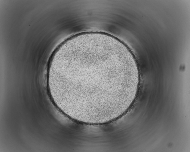 X0000100381126200807031919