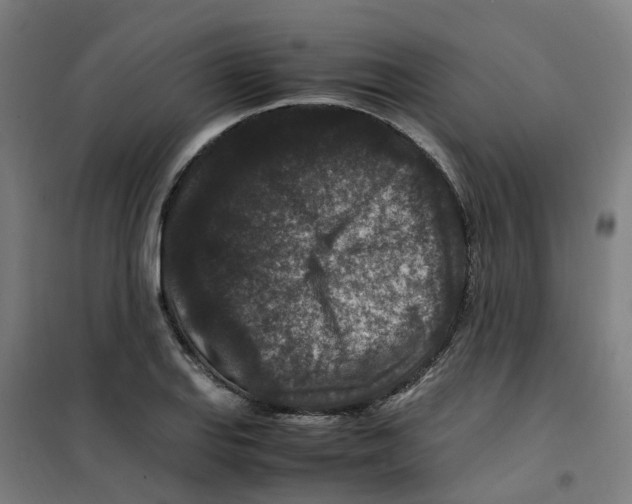X0000100381127200807031919