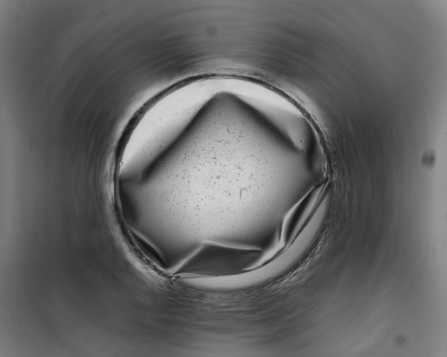X0000100381128200807031919