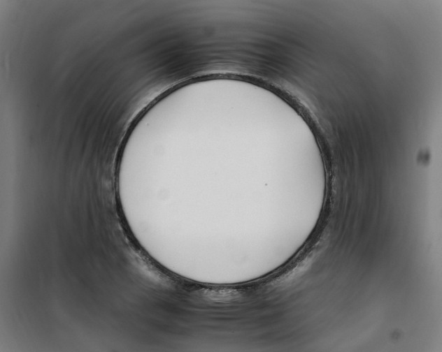 X0000100381129200807031919