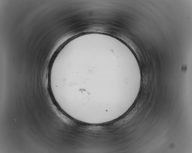 X0000100381131200807031919