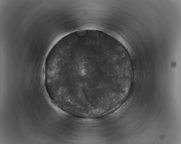 X0000100381132200807031919