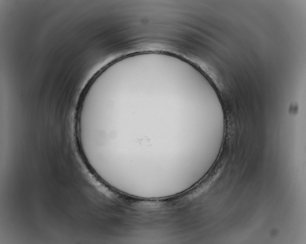 X0000100381134200807031919