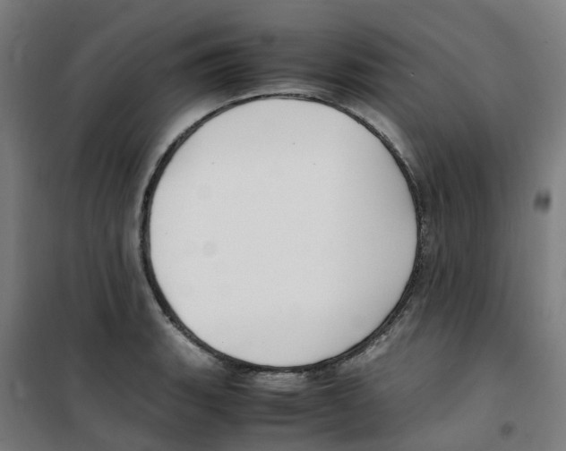 X0000100381135200807031919