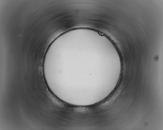X0000100381137200807031919