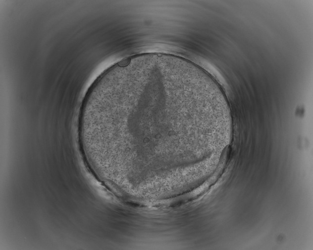X0000100381138200807031919