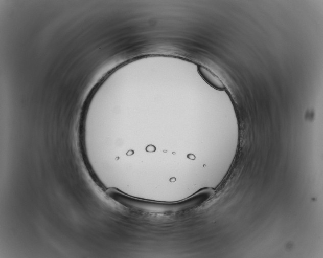 X0000100381139200807031919