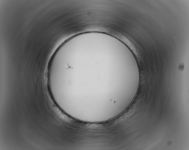 X0000100381140200807031919