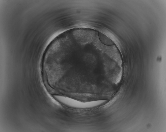 X0000100381141200807031919