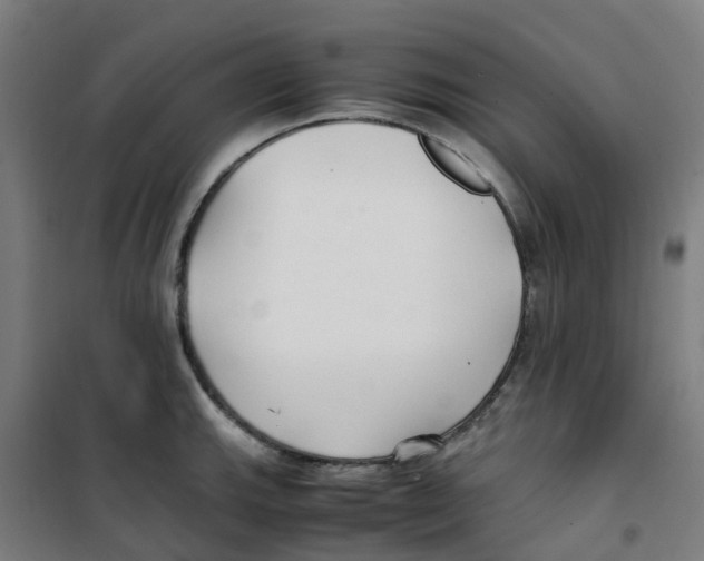 X0000100381143200807031919