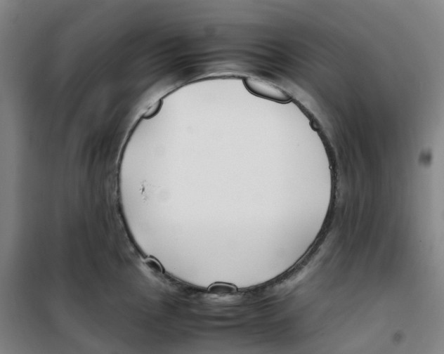 X0000100381145200807031919